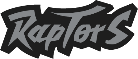 Toronto Raptors 1995-1999 Wordmark Logo DIY iron on transfer (heat transfer)